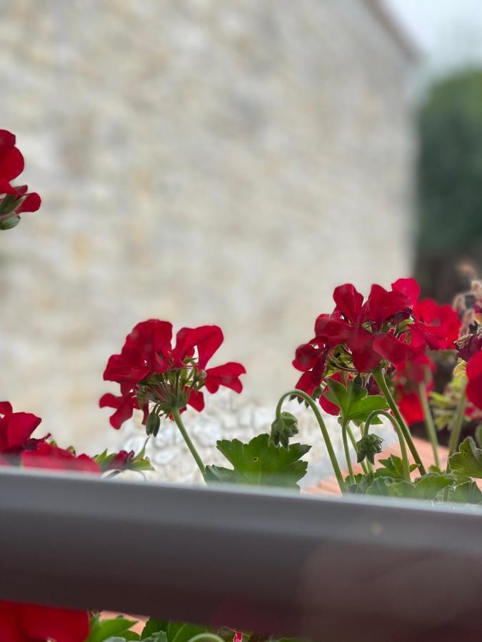 Bed and Breakfast Le Vieux Moulin Bouhet Esterno foto
